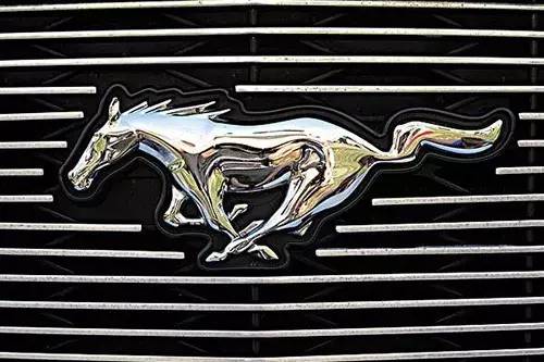 車標(biāo)上的動物都是啥來頭？看完又能出去裝X了