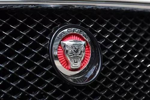 車標(biāo)上的動物都是啥來頭？看完又能出去裝X了