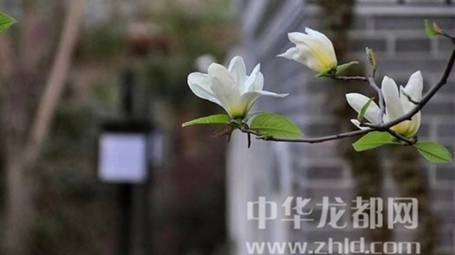 淮陽(yáng)蓮舍，多了一份味道