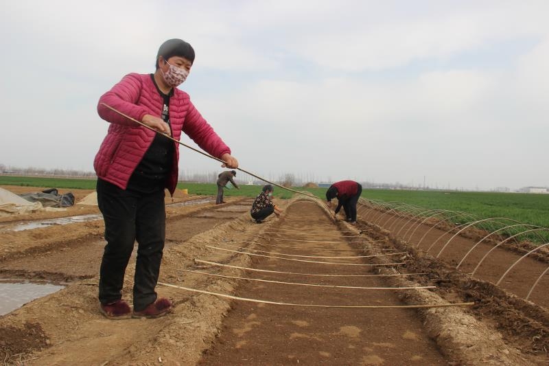 疫情防控、春耕生產(chǎn)兩手抓