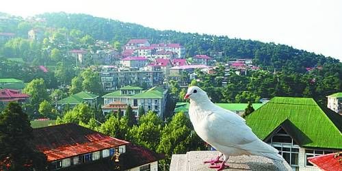  有著“云中山城”之稱的牯嶺鎮(zhèn)面臨著遷民下山。